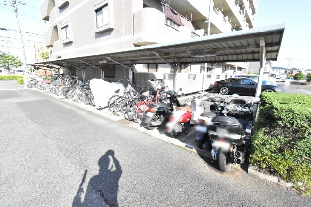 ��ʌ�����s�����P���ڂ̃}���V�����̂��̑�