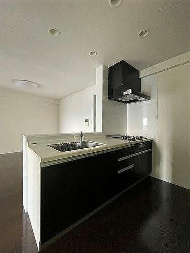 ��ʌ��������܎s��{��x�̓����P���ڂ̃}���V�����̃L�b�`��