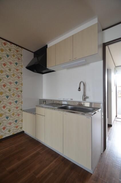 ��ʌ��@�c�s���V�h�Q���ڂ̃A�p�[�g�̃L�b�`��