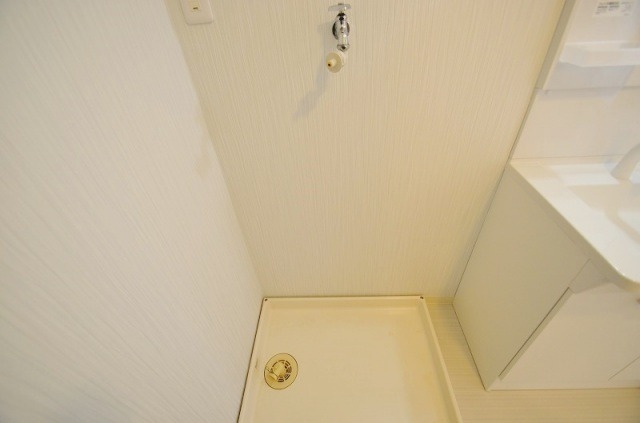 ��ʌ��������܎s����쌳�h�P���ڂ̃}���V�����̂��̑�