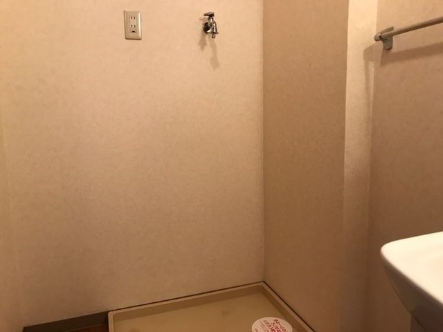 ��ʌ�����s�厚�����q��V�c�̃}���V�����̂��̑�