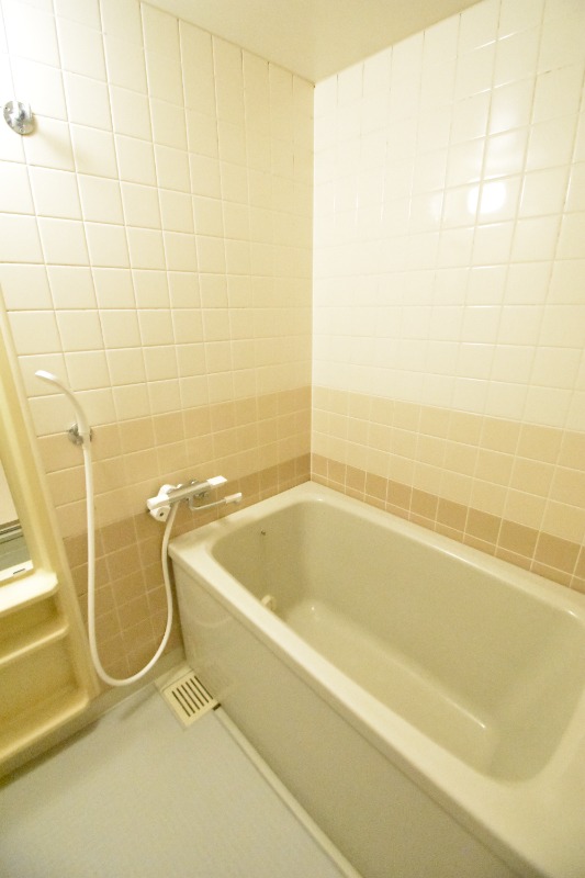 ��ʌ��������܎s�����擌��{�V���ڂ̃}���V�����̃o�X