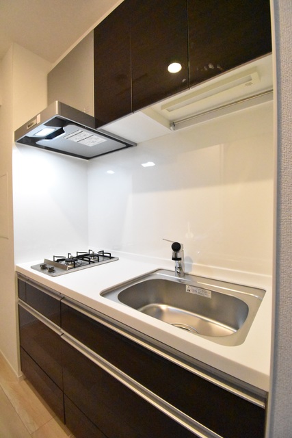 ��ʌ��������܎s�Y�a��{���R���ڂ̃A�p�[�g�̃L�b�`��