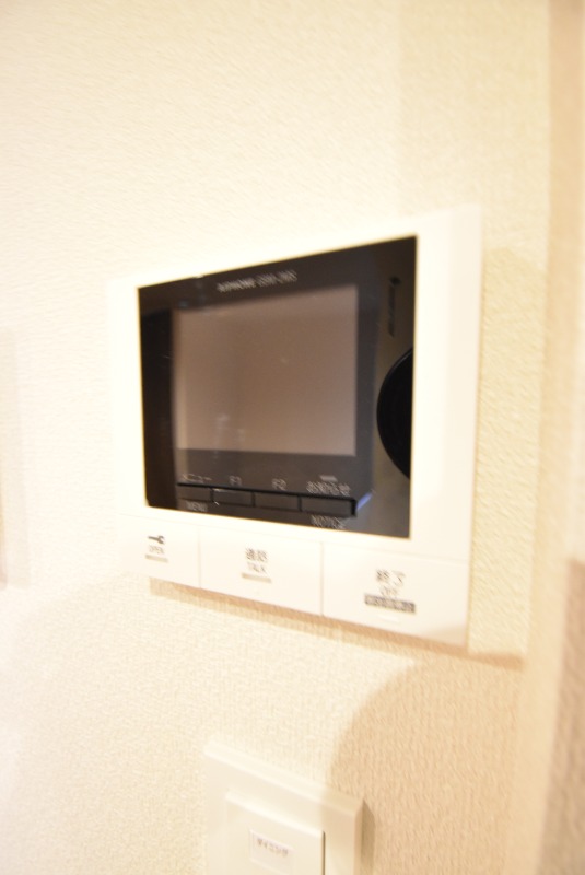 ��ʌ�����s�씵���J�S���ڂ̃}���V�����̂��̑�