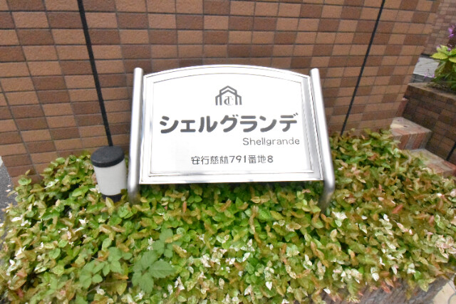 ��ʌ�����s�厚���s���т̃A�p�[�g�̎���