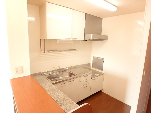 ��ʌ��������܎s����厚���V�n�̃A�p�[�g�̃L�b�`��