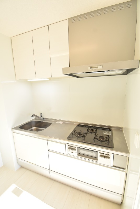 ��ʌ��������܎s�΋�厚�O���̃A�p�[�g�̃L�b�`��