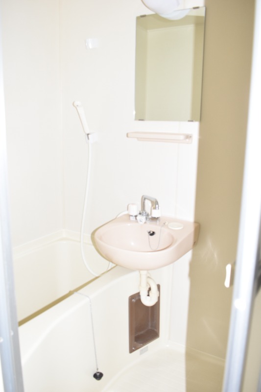 ��ʌ��������܎s����厚���v�ۂ̃A�p�[�g�̃o�X