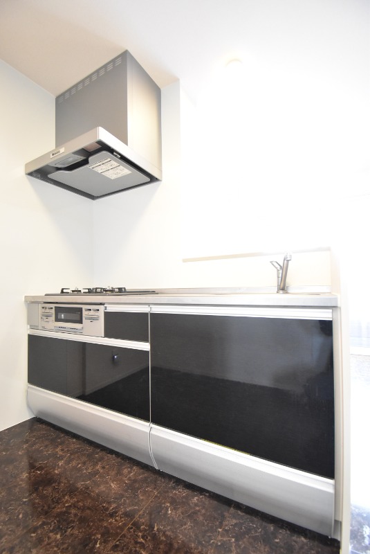 ��ʌ��z�J�s���C�N�^�E���U���ڂ̃A�p�[�g�̃L�b�`��