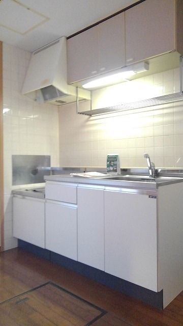 ��ʌ��������܎s��΋�厚���ю��̃}���V�����̃L�b�`��