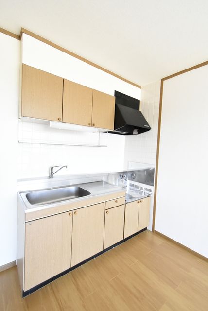 ��ʌ��������܎s����厚���V�n�̃A�p�[�g�̃L�b�`��