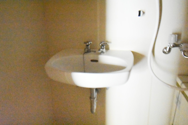 ��ʌ��@�c�s���V�h�P���ڂ̃A�p�[�g�̐��ʏ�