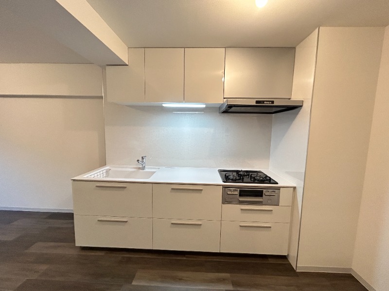 ��ʌ��������܎s��{��g�~���Q���ڂ̃}���V�����̃L�b�`��