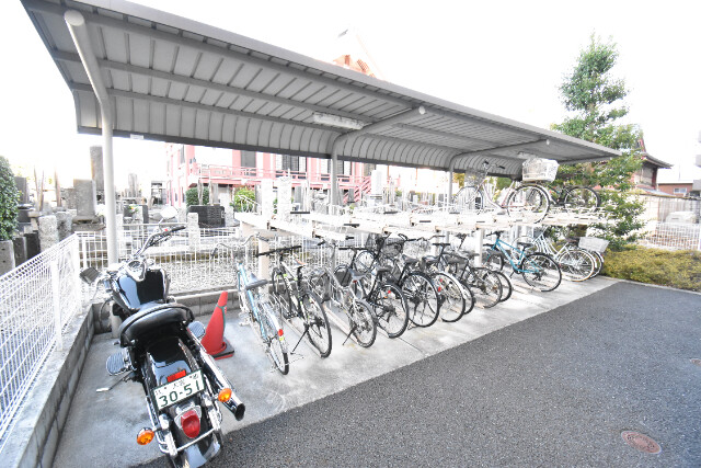 ��ʌ��������܎s��{��{���R���ڂ̃}���V�����̂��̑�