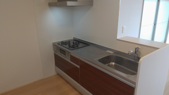 ��ʌ��z�J�s���C�N�^�E���U���ڂ̃A�p�[�g�̃L�b�`��