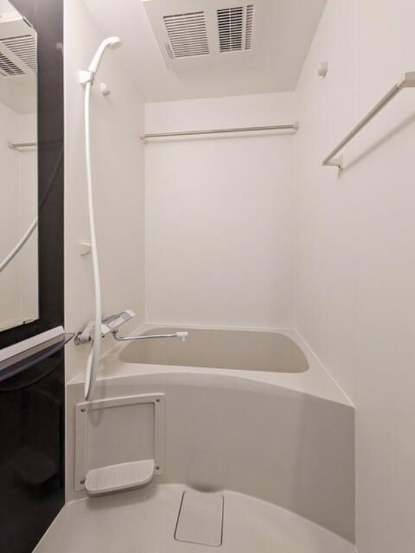 ��ʌ��������܎s�Y�a���؍�U���ڂ̃}���V�����̃o�X