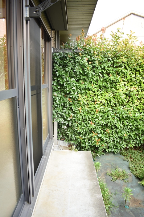 ��ʌ��������܎s��{��O���P���ڂ̃e���X�n�E�X�̂��̑�