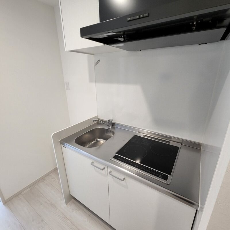 ��ʌ��������܎s�������a�c���Q���ڂ̃A�p�[�g�̃L�b�`��