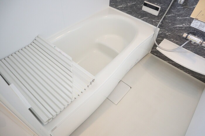 ��ʌ�����s�厚������̃A�p�[�g�̃o�X