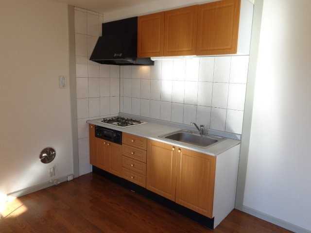 ��ʌ��������܎s��΋���Q���ڂ̃A�p�[�g�̃L�b�`��