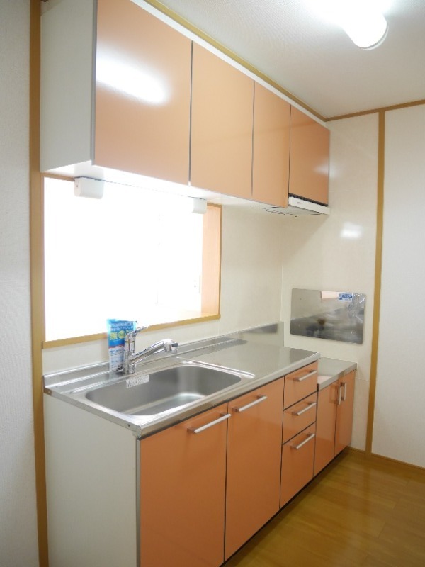 ��ʌ��k�����S�ɓޒ����h��S���ڂ̃A�p�[�g�̃L�b�`��