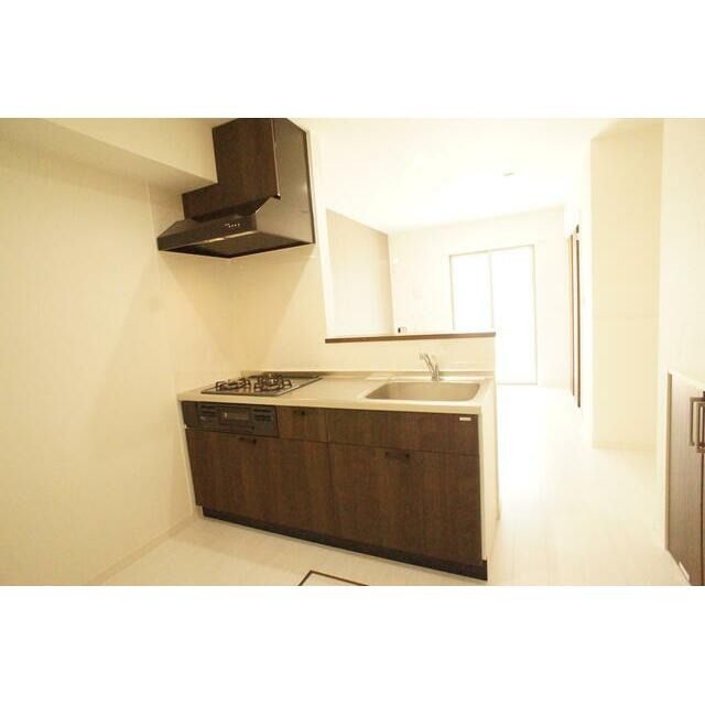 ��ʌ��������܎s�΋�����P���ڂ̃e���X�n�E�X�̃L�b�`��