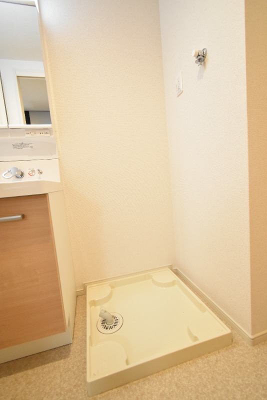 ��ʌ��������܎s����厚�w��̃}���V�����̂��̑�