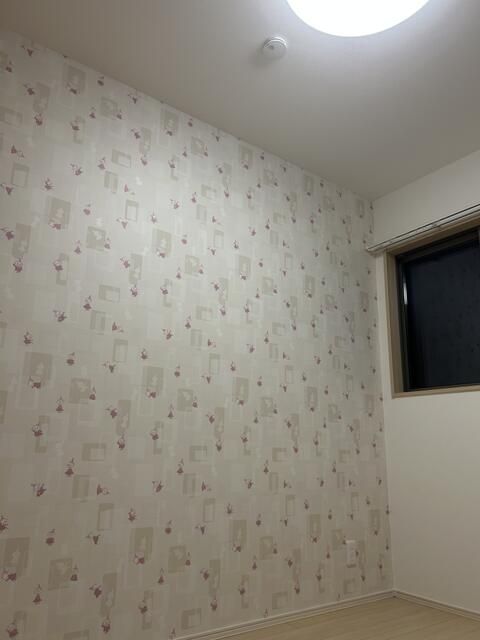 ��ʌ��@�c�s���V�h�U���ڂ̈�ˌ��Ă̂��̑������E�X�y�[�X