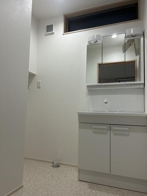 ��ʌ��@�c�s���V�h�U���ڂ̈�ˌ��Ă̐��ʏ�