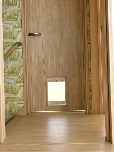 ��ʌ��@�c�s���V�h�U���ڂ̈�ˌ��Ă̂��̑�