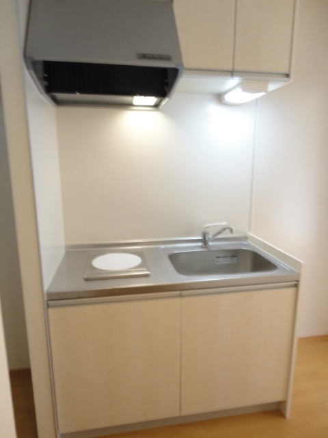 ��ʌ��������܎s��{�捂�@���P���ڂ̃A�p�[�g�̃L�b�`��