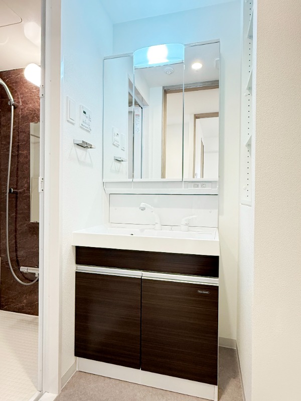 ��ʌ�����s����T���ڂ̃}���V�����̐��ʏ�