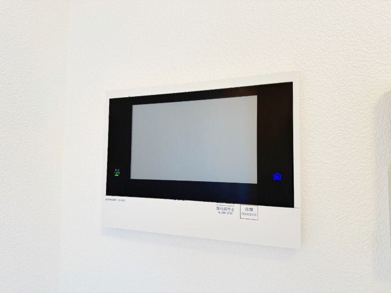 ��ʌ�����s����T���ڂ̃}���V�����̂��̑�